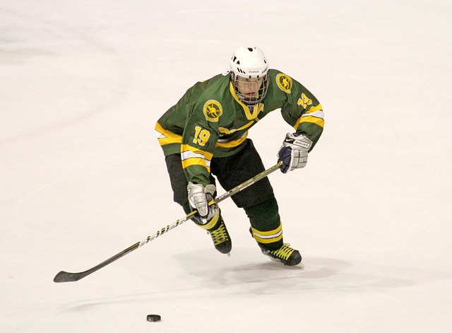 Sådan vælger du mellem ishockey i Danmark og udlandet